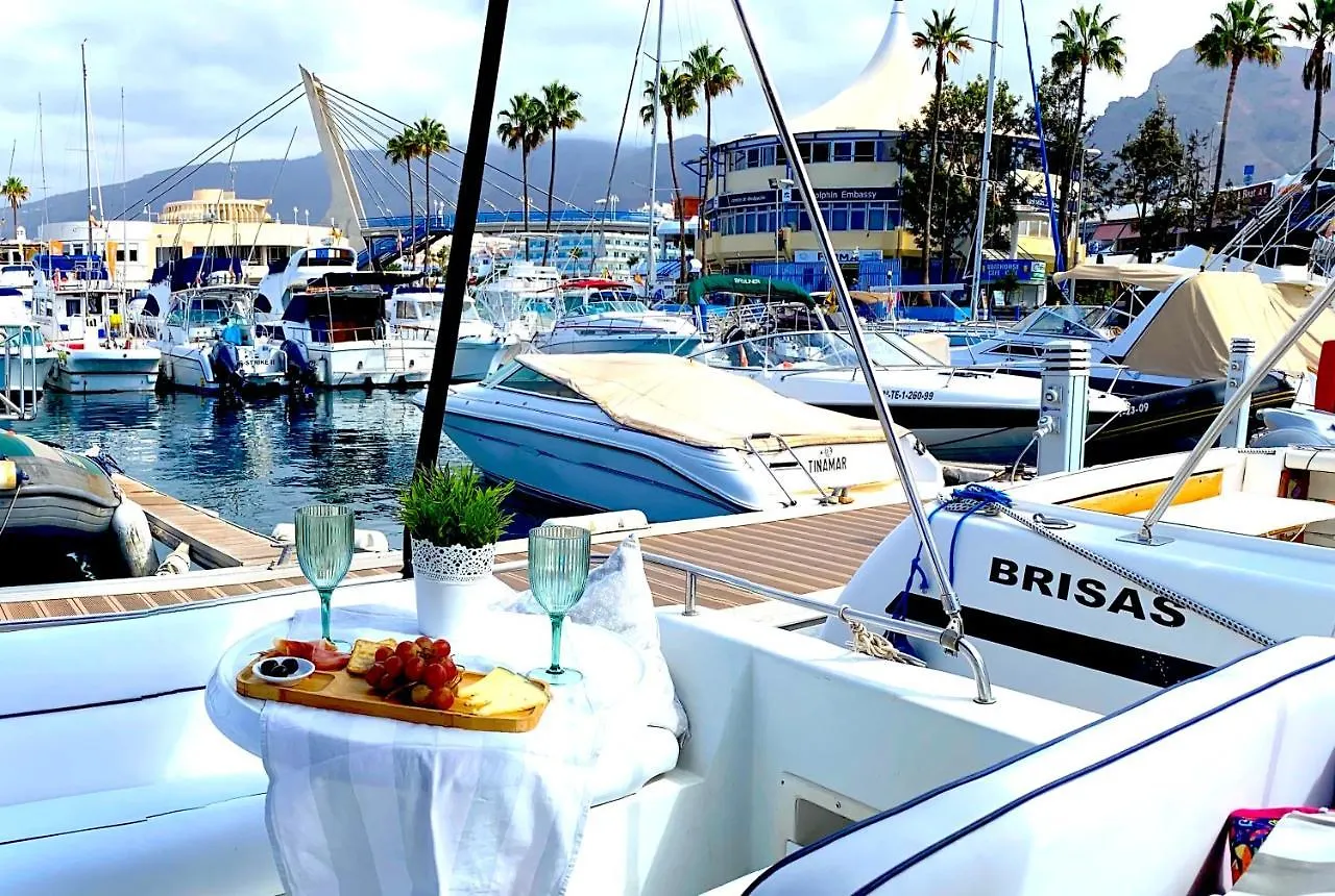 Barco Pita - Amarilla Marina location
