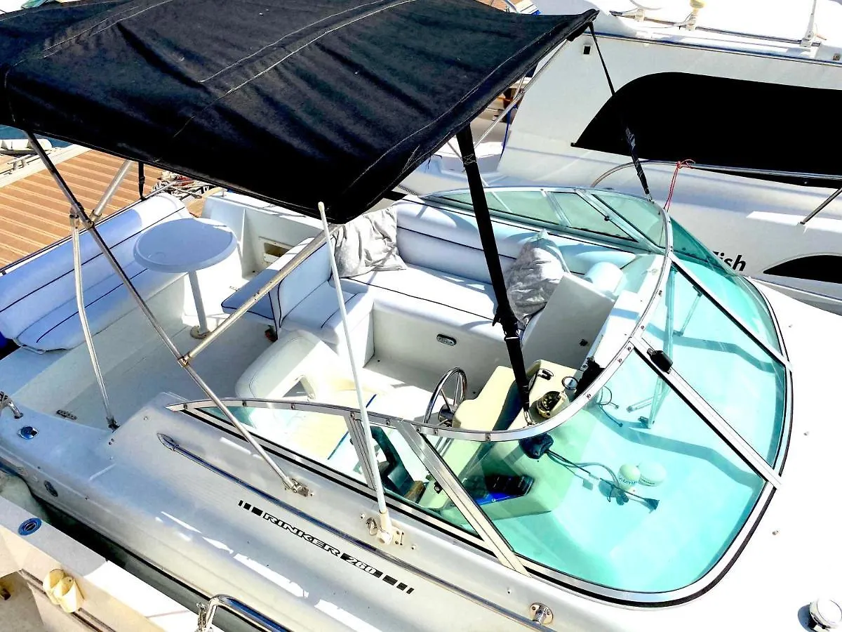 Barco Pita - Amarilla Marina Hotel San Miguel de Abona Botel